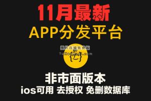 11月新版APP分发源码支持封装仿fir.im分发APP应用分发托管平台运营版