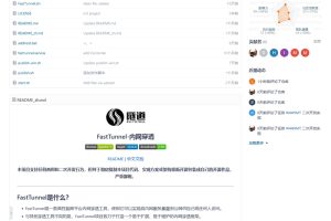 FastTunnel高性能跨平台内网穿透工具 v2.0.4