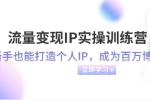 流量变现-IP实操训练营：新手也能打造个人IP，成为百万 博主（46节课）