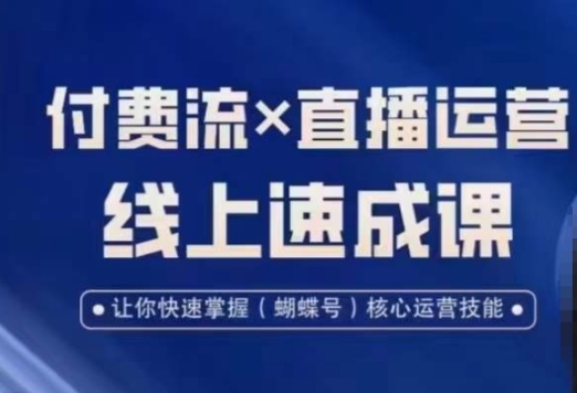 视频号付费流实操课程，付费流✖️直播运营速成课，让你快速掌握视频号核心运营技能插图