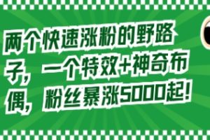 两个快速涨粉的野路子，一个特效+神奇布偶，粉丝暴涨5000起！