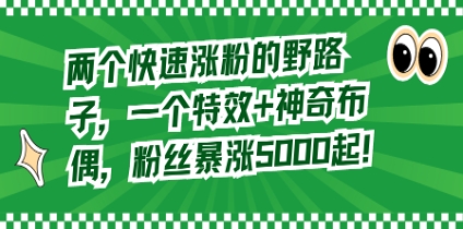 两个快速涨粉的野路子，一个特效+神奇布偶，粉丝暴涨5000起！插图