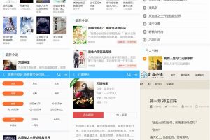 爱看小说网源码全站带数据打包/ThinkPHP内核小说网站源码