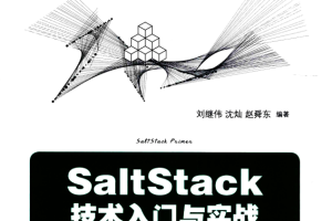 SaltStack技术入门与实战 完整pdf_服务器教程