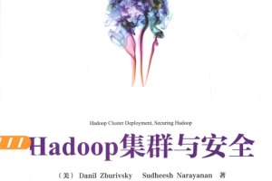 Hadoop集群与安全 中文pdf_服务器教程