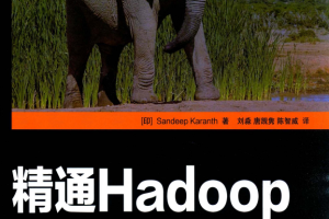 精通Hadoop （卡伦斯著） 中文pdf_服务器教程