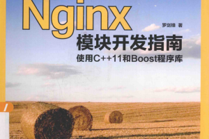 Nginx模块开发指南:使用C++11和Boost程序库 pdf_服务器教程