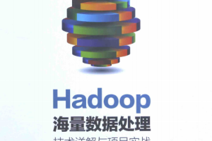 Hadoop海量数据处理:技术详解与项目实战 中文pdf_服务器教程