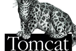 Tomcat权威指南（第2版） PDF_服务器教程