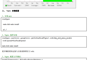 Nginx 安全配置指南技术手册pdf_服务器教程