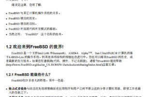 FreeBSD 服务器配置操作手册 PDF_服务器教程