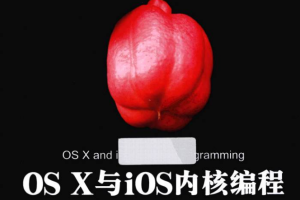 OS X与iOS内核编程 完整版 中文pdf