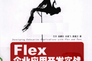 Flex企业应用开发实战 PDF_美工教程