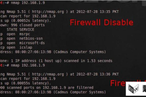 Nmap绕过防火墙以及脚本的基础概念与高级技术的使用 中文_黑客教程