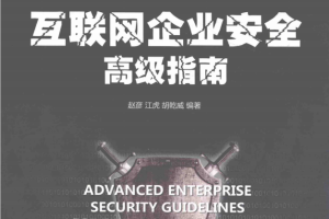 互联网企业安全高级指南 pdf_黑客教程