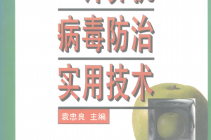 计算机病毒防治实用技术 PDF_黑客教程