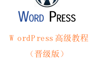 WordPress高级教程（晋级版）中文PDF_PHP教程