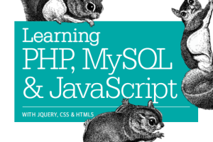 PHP MySQL与javascript学习手册（第4版） pdf_PHP教程