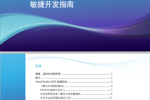 visual studio 2010 敏捷开发指南 PDF_NET教程