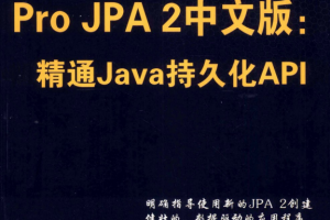 Pro JPA2中文版：精通Java持久化API PDF