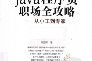 Java程序员职场全攻略—从小工到专家