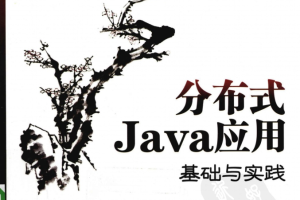 分布式Java应用基础与实践