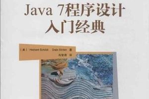 Java 7程序设计入门经典