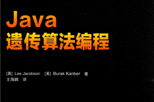 JAVA 遗传算法编程 PDF