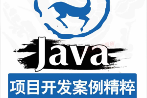 Java项目开发案例精粹