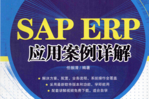 SAP ERP应用案例详解