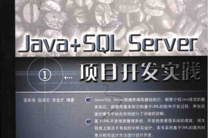 JAVA+SQL SERVER项目开发实践