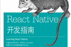 React Native开发指南 中文pdf_前端开发教程