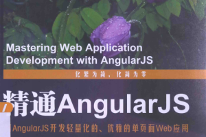 精通AngularJS 中文_前端开发教程