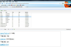 Jquery Datagrid动态分页以及CRUD 中文_前端开发教程