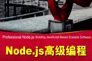 Node.js高级编程 中文PDF_前端开发教程