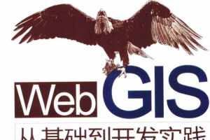 Web GIS从基础到开发实践 基于ArcGIS API for javascript pdf_前端开发教程