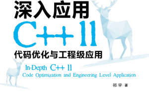 深入应用C++11：代码优化与工程级应用 pdf