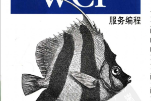 WCF编程（第2版） （Juval Lowy） PDF