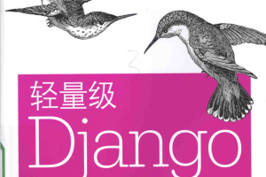 轻量级Django 完整版 中文pdf_前端开发教程