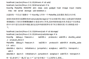 Linux那些事儿之我是U盘 pdf_操作系统教程