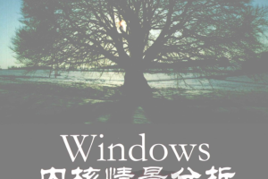 Windows内核情景分析 下 毛德操著 中文_操作系统教程