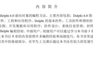 delphi程序设计_操作系统教程