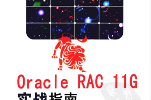 Oracle RAC 11g实战指南_数据库教程