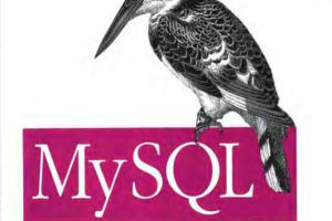 MySQL权威指南第二版_数据库教程