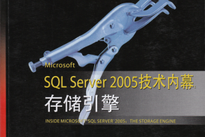 Microsoft SQL Server 2005技术内幕：存储引擎_数据库教程