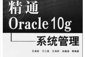 精通Oracle 10g系统管理_数据库教程