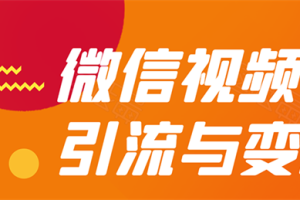 微信视频号全面引流与变现玩法：多种盈利模式月入过万