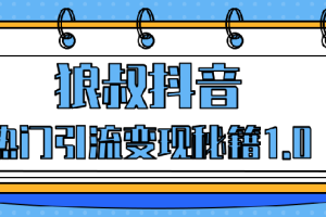 狼叔抖音热门引流变现秘籍1.0，人人都可以捞金 让你视频曝光10W+