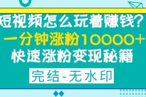 短视频怎么玩着赚钱？一分钟涨粉10000+快速涨粉变现秘籍（完结)