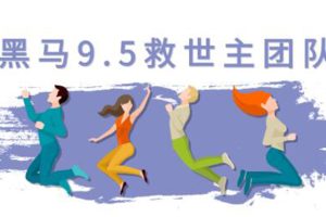 黑马9.5抖音起号（美国码，女粉起号新玩法，30秒出原创视频）附素材